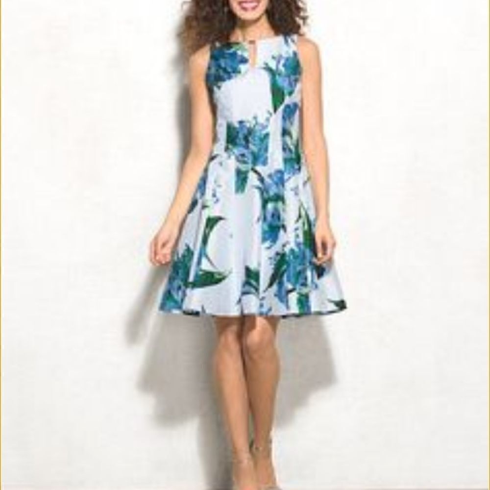 Dressé - Picture 2 of 8